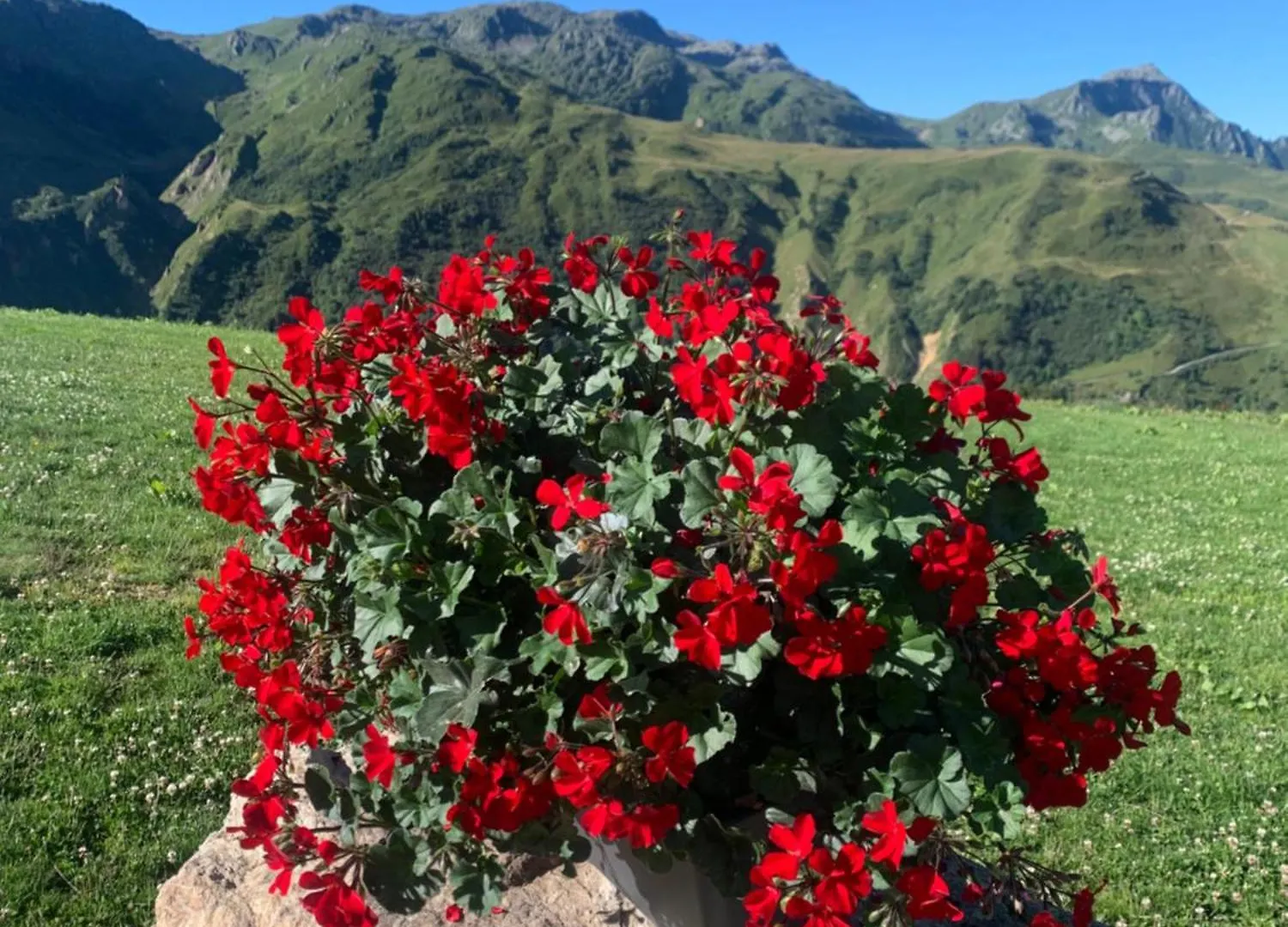 Bed & Breakfast Chambres Et Tables D'Hotes Le Choton A Nono - Col Du Joly Beaufortain Hauteluce Frankrig